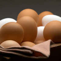 Eggs and Wild Game, Shop With The Doc, photo of eggs
