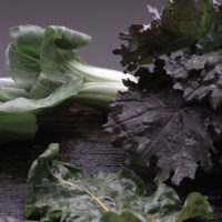 High Fiber Greens, Shop With The Doc, photo of roughage