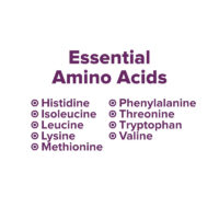 Proteins, Shop With The Doc, photo explaining amino acids