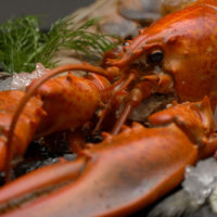 Saltwater Seafood, Shop With The Doc, photo of lobster